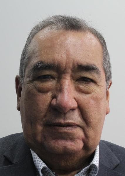 Mario Vizcarra